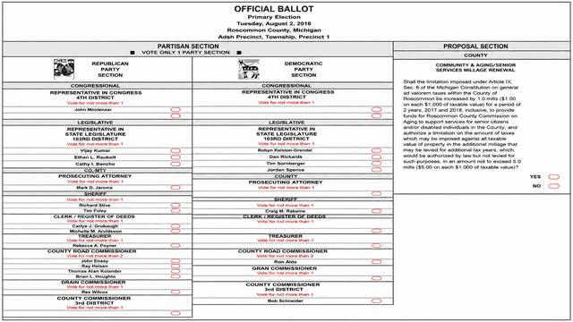 Public Service Beyond Politics: Why I Chose to Run gallery image 2