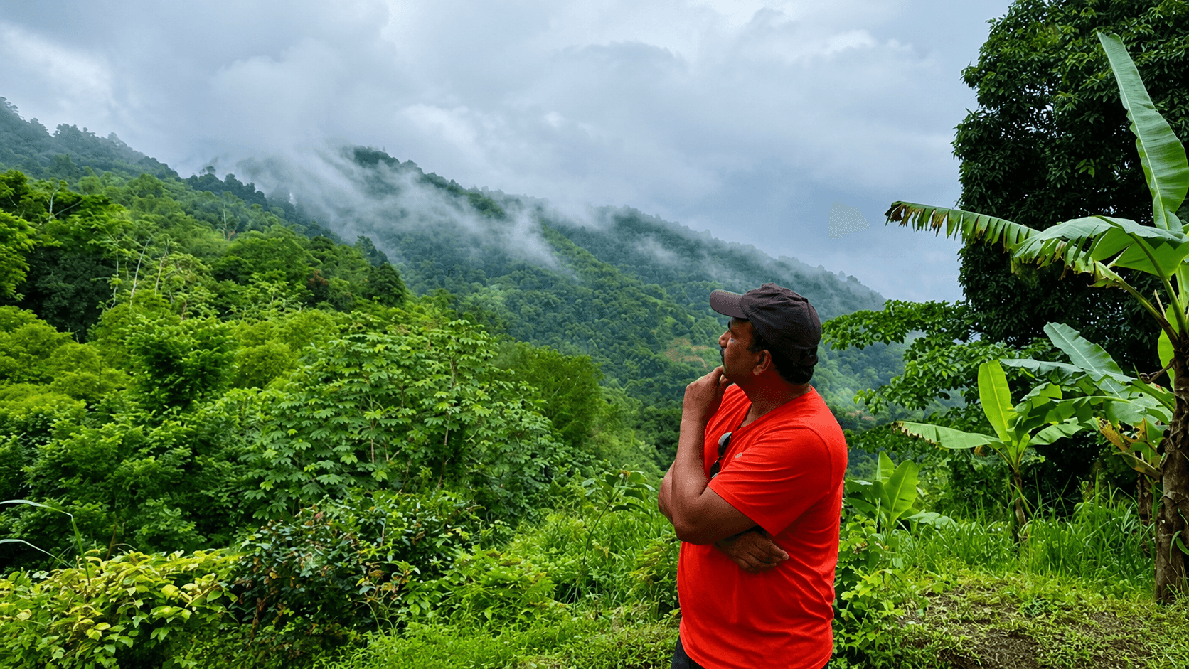 Dr. Vijay Kumar overlooking the mist-covered Blue Mountains of Jamaica while standing beside a mountain cycling trail surrounded by lush rainforest, waterfalls, and tropical cloud forests.