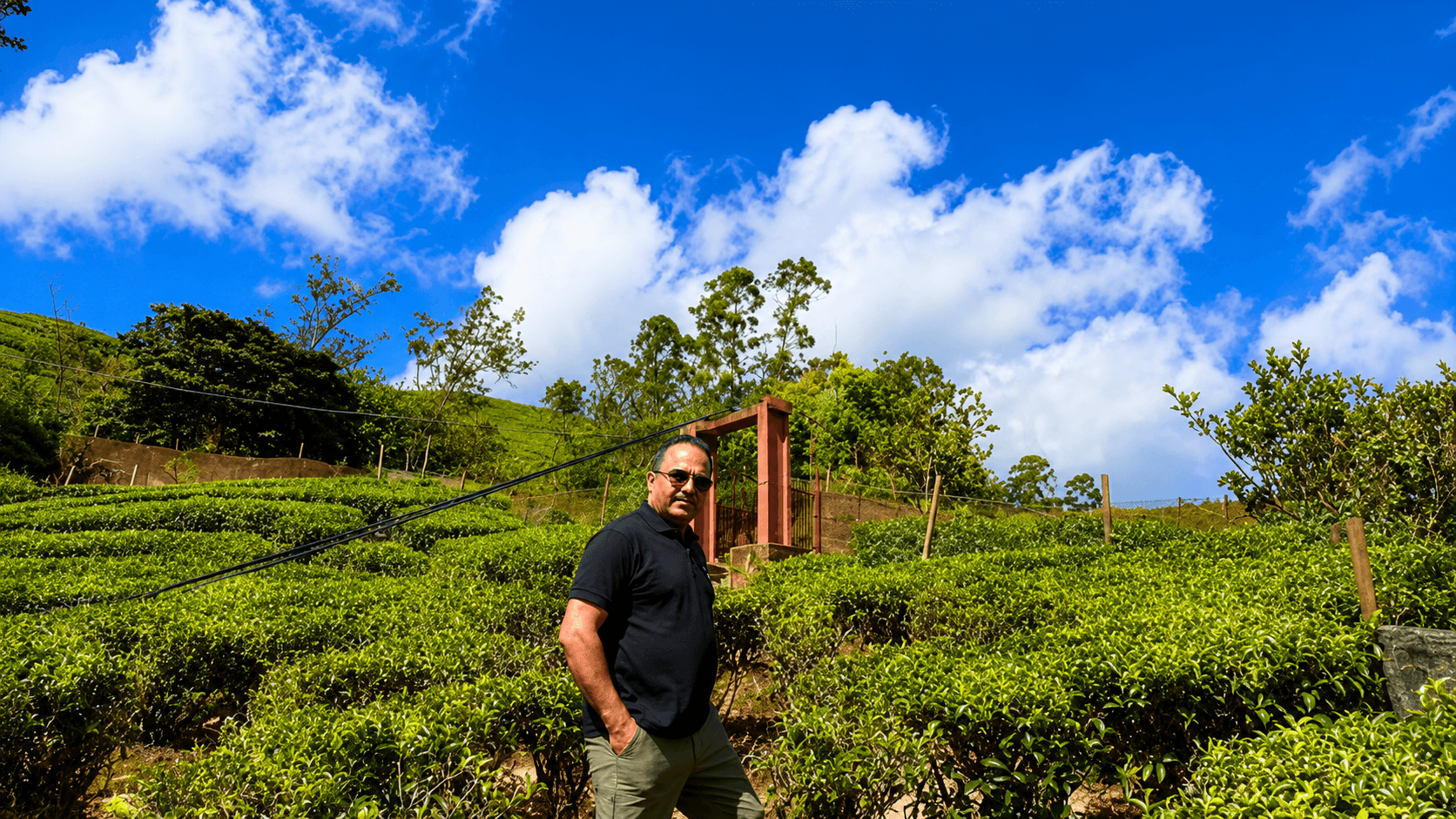 Dr. Vijay Kumar standing amidst the lush green tea gardens of Munnar, Kerala, surrounded by rolling hills, mist-covered mountains, and beautifully manicured tea plantations.