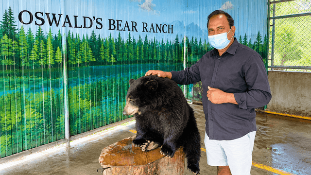 Dr. Vijay Kumar visiting Oswald’s Bear Ranch in Michigan’s Upper Peninsula